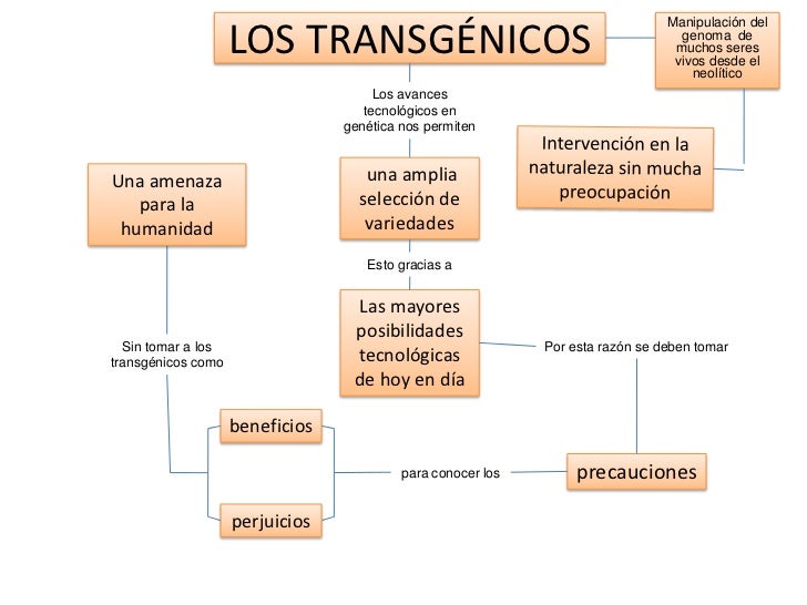 Los transgénicos