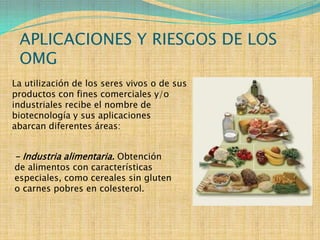 APLICACIONES Y RIESGOS DE LOS
 OMG
La utilización de los seres vivos o de sus
productos con fines comerciales y/o
industriales recibe el nombre de
biotecnología y sus aplicaciones
abarcan diferentes áreas:


- Industria alimentaria. Obtención
de alimentos con características
especiales, como cereales sin gluten
o carnes pobres en colesterol.
 