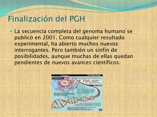 Finalización del PGH
 La secuencia completa del genoma humano se
 publicó en 2001. Como cualquier resultado
 experimental, ha abierto muchos nuevos
 interrogantes. Pero también un sinfín de
 posibilidades, aunque muchas de ellas quedan
 pendientes de nuevos avances científicos.
 