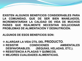 EXISTEN ALGUNOS BENEFICIOS CONSIDERABLES PARA
LA COMUNIDAD, QUE DE SER BIEN MANEJADOS,
INCREMENTARÍAN LA CALIDAD DE VIDA DE MUCHOS
PAÍSES QUE REALMENTE NECESITAN SOLUCIONAR
PROBLEMAS DE ALIMENTACIÓN Y DESNUTRICIÓN.
ALGUNOS DE ESOS BENEFICIOS SON:
 ALARGAR LA VIDA ÚTIL DEL PRODUCTO.
 RESISTIR
CONDICIONES
AMBIENTALES
DESFAVORABLES.
(SEQUÍAS, HELADAS, ETC.).
 RESISTENCIA A PLAGAS Y QUÍMICOS.
 MEJORES CUALIDADES ALIMENTICIAS.

 