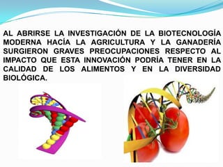AL ABRIRSE LA INVESTIGACIÓN DE LA BIOTECNOLOGÍA
MODERNA HACÍA LA AGRICULTURA Y LA GANADERÍA
SURGIERON GRAVES PREOCUPACIONES RESPECTO AL
IMPACTO QUE ESTA INNOVACIÓN PODRÍA TENER EN LA
CALIDAD DE LOS ALIMENTOS Y EN LA DIVERSIDAD
BIOLÓGICA.

 