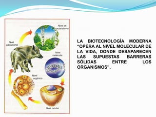 LA BIOTECNOLOGÍA MODERNA
“OPERA AL NIVEL MOLECULAR DE
LA VIDA, DONDE DESAPARECEN
LAS
SUPUESTAS
BARRERAS
SÓLIDAS
ENTRE
LOS
ORGANISMOS”.

 