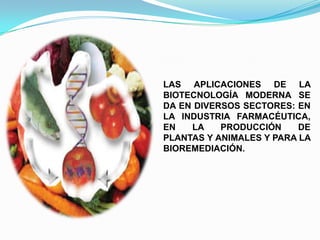 LAS APLICACIONES DE LA
BIOTECNOLOGÍA MODERNA SE
DA EN DIVERSOS SECTORES: EN
LA INDUSTRIA FARMACÉUTICA,
EN
LA
PRODUCCIÓN
DE
PLANTAS Y ANIMALES Y PARA LA
BIOREMEDIACIÓN.

 