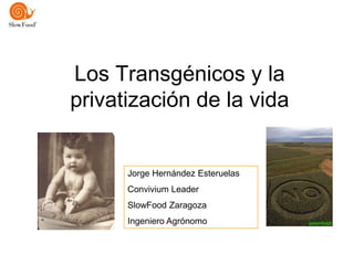 Los Transgénicos y la
privatización de la vida


      Jorge Hernández Esteruelas
      Convivium Leader
      SlowFood Zaragoza
      Ingeniero Agrónomo
 