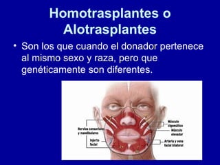 Homotrasplantes o Alotrasplantes Son los que cuando el donador pertenece al mismo sexo y raza, pero que genéticamente son diferentes. 