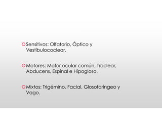 Nervios craneales
Nervios craneales
Sensitivos: Olfatorio, Óptico y
Vestíbulococlear.
Motores: Motor ocular común, Troclear,
Abducens, Espinal e Hipogloso.
Mixtos: Trigémino, Facial, Glosofaríngeo y
Vago.
Sensitivos: Olfatorio, Óptico y
Vestíbulococlear.
Motores: Motor ocular común, Troclear,
Abducens, Espinal e Hipogloso.
Mixtos: Trigémino, Facial, Glosofaríngeo y
Vago.
 