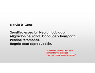 Nervio 0 Cero
Sensitivo especial. Neuromodulador.
Migración neuronal. Conduce y transporta.
Percibe feromonas.
Regula sexo-reproducción.
El Nervio Craneal Cero es el
primer Nervio Craneal.
¿No me crees, sigue leyendo?
 