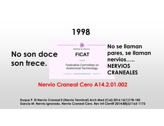1998
No son doce
son trece.
No se llaman
pares, se llaman
nervios…..
NERVIOS
CRANEALES
Duque P. El Nervio Craneal 0 (Nervio Terminal) Arch Med (Col) 2016;16(1)178-182
García M: Nervio ignorado, Nervio Craneal Cero. Rev Inf Cientif 2014;88(6)1165-1173
Nervio Craneal Cero A14.2.01.002
 
