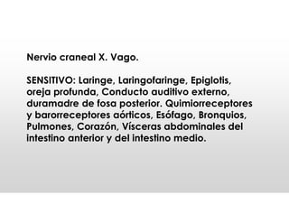Nervio craneal X. Vago.
SENSITIVO: Laringe, Laringofaringe, Epiglotis,
oreja profunda, Conducto auditivo externo,
duramadre de fosa posterior. Quimiorreceptores
y barorreceptores aórticos, Esófago, Bronquios,
Pulmones, Corazón, Vísceras abdominales del
intestino anterior y del intestino medio.
 