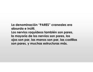 La denominación “PARES” craneales era
absurda e inútil.
Los nervios raquídeos también son pares,
la mayoría de los nervios son pares, los
ojos son par, las manos son par, las costillas
son pares, y muchas estructuras más.
 