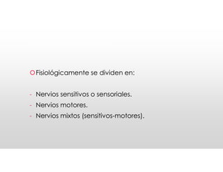 Nervios craneales
Nervios craneales
Fisiológicamente se dividen en:
- Nervios sensitivos o sensoriales.
- Nervios motores.
- Nervios mixtos (sensitivos-motores).
Fisiológicamente se dividen en:
- Nervios sensitivos o sensoriales.
- Nervios motores.
- Nervios mixtos (sensitivos-motores).
 