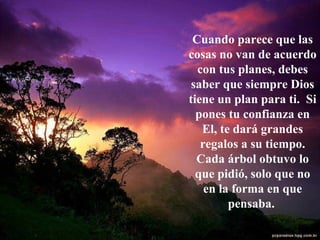 Cuando parece que las cosas no van de acuerdo con tus planes, debes saber que siempre Dios tiene un plan para ti.  Si pones tu confianza en El, te dará grandes regalos a su tiempo. Cada árbol obtuvo lo que pidió, solo que no en la forma en que pensaba.   