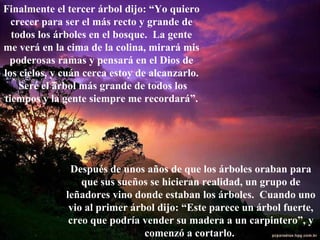 Finalmente el tercer árbol dijo: “Yo quiero crecer para ser el más recto y grande de todos los árboles en el bosque.  La gente me verá en la cima de la colina, mirará mis poderosas ramas y pensará en el Dios de los cielos, y cuán cerca estoy de alcanzarlo.  Seré el árbol más grande de todos los tiempos y la gente siempre me recordará”. Después de unos años de que los árboles oraban para que sus sueños se hicieran realidad, un grupo de leñadores vino donde estaban los árboles.  Cuando uno vio al primer árbol dijo: “Este parece un árbol fuerte, creo que podría vender su madera a un carpintero”, y comenzó a cortarlo.   