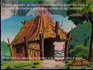 Y toda la casita se desmoronó, mientras el cerdito huía a la casita de madera que había constuido su hermano   Poco duró su alegría. Se acercó a la casa el Lobo y sopló como la vez anterior... 