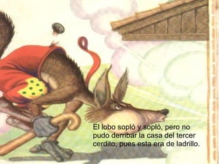El lobo sopló y sopló, pero no pudo derribar la casa del tercer cerdito, pues esta era de ladrillo. 