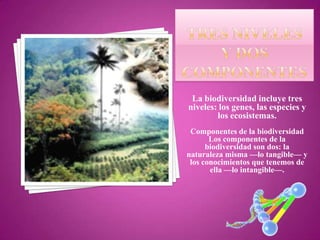 La biodiversidad incluye tres
niveles: los genes, las especies y
        los ecosistemas.
 Componentes de la biodiversidad
       Los componentes de la
      biodiversidad son dos: la
naturaleza misma —lo tangible— y
 los conocimientos que tenemos de
       ella —lo intangible—.
 