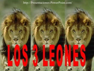 LOS 3 LEONES http://Presentaciones-PowerPoint.com/ 