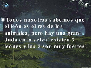 Todos nosotros sabemos que el león es el rey de los animales, pero hay una gran duda en la selva: existen 3 leones y los 3 son muy fuertes.  