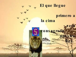 El que llegue  primero a la cima  será consagrado  nuestro Rey.  