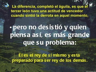 • La diferencia, completó el águila, es que el
  tercer león tuvo una actitud de vencedor
  cuando sintió la derrota en aquel momento,


 • pero no des is tió y quien
 piens a as í, es más grande
      que s u problema:
     É l es el rey de s í mis mo y es tá
  preparado para s er rey de los demás .
 