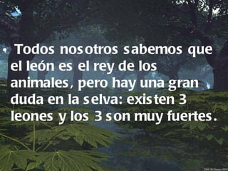 • Todos nos otros s abemos que
 el león es el rey de los
 animales , pero hay una gran
 duda en la s elva: exis ten 3
 leones y los 3 s on muy fuertes .
 