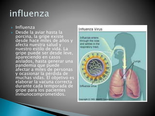  Influenza 
 Desde la aviar hasta la 
porcina, la gripe existe 
desde hace miles de años y 
afecta nuestra salud y 
nuestro estilo de vida. La 
gripe puede ser desde leve, 
apareciendo en casos 
aislados, hasta generar una 
pandemia que puede 
afectar a miles de personas 
y ocasionar la pérdida de 
muchas vidas. El objetivo es 
elaborar la vacuna correcta 
durante cada temporada de 
gripe para los pacientes 
inmunocomprometidos. 
 