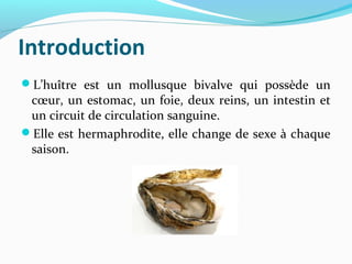 Introduction
L’huître est un mollusque bivalve qui possède un
cœur, un estomac, un foie, deux reins, un intestin et
un ci...
