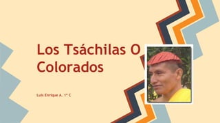Los Tsáchilas O
Colorados
Luis Enrique A. 1º C
 