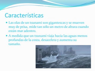 CaracterísticasLas olas de un tsunami son gigantescas y se mueven muy de prisa, mide tan sólo un metro de altura cuando están mar adentro.A medida que un tsunami viaja hacia las aguas menos profundas de la costa, desacelera y aumenta su tamaño.
