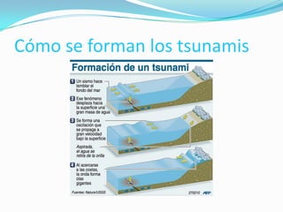 Cómo se forman los tsunamis