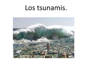 Los tsunamis.
 