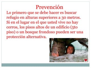 Lo primero que se debe hacer es buscar
refugio en alturas superiores a 30 metros.
Si en el lugar en el que usted vive no hay
cerros, los pisos altos de un edificio (5to
piso) o un bosque frondoso pueden ser una
protección alternativa.
Prevención