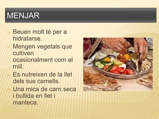 MENJAR
✕ Beuen molt té per a
hidratarse.
✕ Mengen vegetals que
cultiven
ocasionalment com el
mill.
✕ Es nutreixen de la llet
dels sus camells.
✕ Una mica de carn seca
i bullida en llet i
manteca.
 