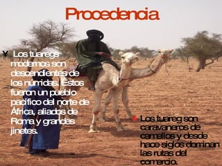 Procedencia Los tuaregs modernos son descendientes de los númidas. Éstos fueron un pueblo pacífico del norte de África, aliados de Roma y grandes jinetes. Los tuareg son caravaneros de camellos y desde hace siglos dominan las rutas del comercio. 