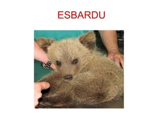 ESBARDU 