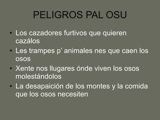 PELIGROS PAL OSU Los cazadores furtivos que quieren cazálos Les trampes p’ animales nes que caen los osos Xente nos llugares ónde viven los osos molestándolos La desapaición de los montes y la comida que los osos necesiten 