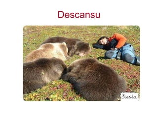 Descansu 