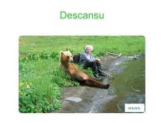 Descansu 