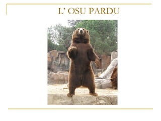 L’ OSU PARDU 