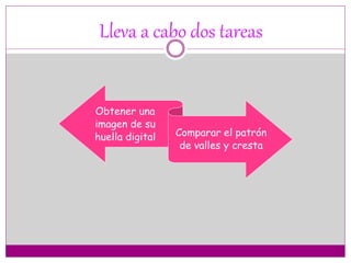Obtener una
imagen de su
huella digital Comparar el patrón
de valles y cresta
Lleva a cabo dos tareas
 