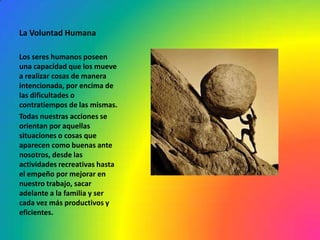 La Voluntad Humana

Los seres humanos poseen
una capacidad que los mueve
a realizar cosas de manera
intencionada, por encima de
las dificultades o
contratiempos de las mismas.
Todas nuestras acciones se
orientan por aquellas
situaciones o cosas que
aparecen como buenas ante
nosotros, desde las
actividades recreativas hasta
el empeño por mejorar en
nuestro trabajo, sacar
adelante a la familia y ser
cada vez más productivos y
eficientes.
 
