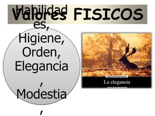 Valores FISICOSHabilidad
es,
Higiene,
Orden,
Elegancia
,
Modestia
,
 