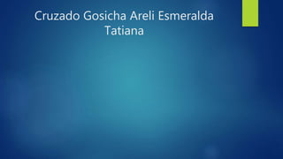 Cruzado Gosicha Areli Esmeralda
Tatiana