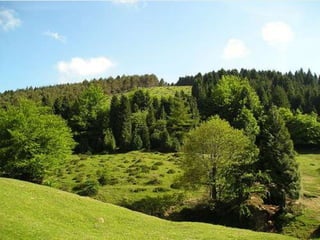 Los vascos:  su origen