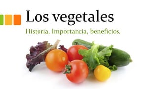 Los vegetales
Historia, Importancia, beneficios,
 