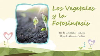 Los Vegetales
y la
Fotosíntesis
1ro de secundaria - Vanessa
Alejandra Gérman Guillén
 