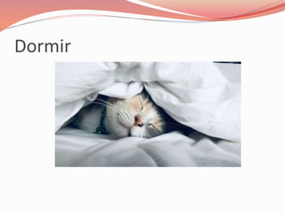 Dormir
