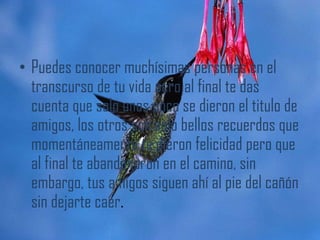 • Puedes conocer muchísimas personas en el
  transcurso de tu vida pero al final te das
  cuenta que solo unos poco se dieron el titulo de
  amigos, los otros son solo bellos recuerdos que
  momentáneamente te dieron felicidad pero que
  al final te abandonaron en el camino, sin
  embargo, tus amigos siguen ahí al pie del cañón
  sin dejarte caer.
 
