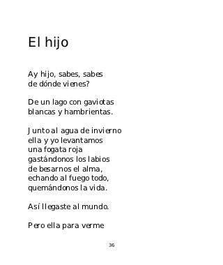 El hijo

Ay hijo, sabes, sabes
de dónde vienes?

De un lago con gaviotas
blancas y hambrientas.

Junto al agua de invierno
ella y yo levantamos
una fogata roja
gastándonos los labios
de besarnos el alma,
echando al fuego todo,
quemándonos la vida.

Así llegaste al mundo.

Pero ella para verme

                        36
 