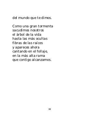 del mundo que te dimos.

Como una gran tormenta
sacudimos nosotros
el árbol de la vida
hasta las más ocultas
fibras de las raíces
y apareces ahora
cantando en el follaje,
en la más alta rama
que contigo alcanzamos.




                    38
 